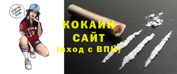 молекула духа Белоозёрский