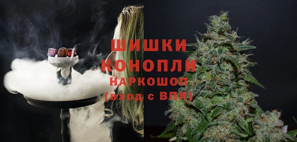 молекула духа Белоозёрский
