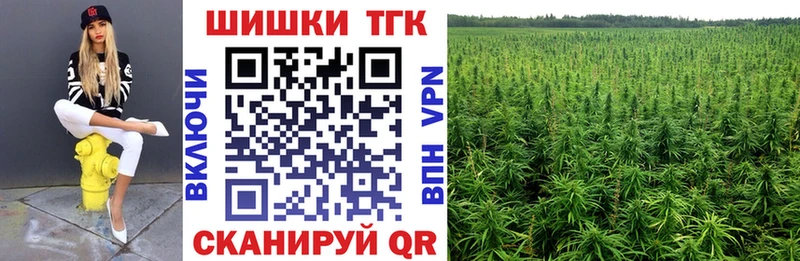 купить наркотик  Трёхгорный  блэк спрут ONION  Бошки Шишки гибрид 